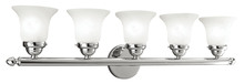 Livex Lighting 1065-05 - 5 Light Polished Chrome Bath Light