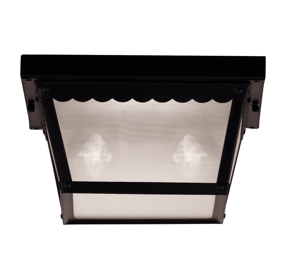 Exterior Collections 2-Light Outdoor Ceiling Light in Black