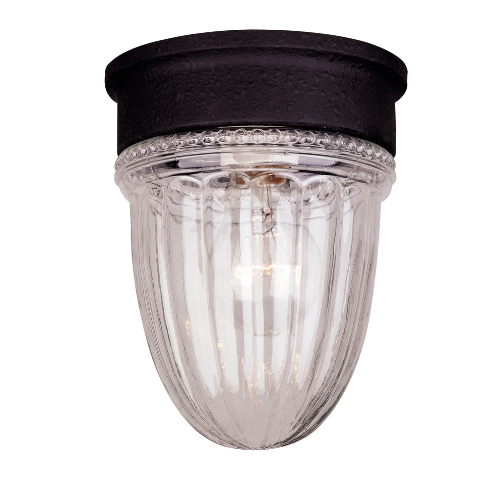 Exterior Collections 1-Light Outdoor Ceiling Light in Textured Black