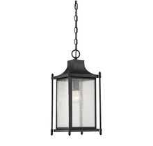 Savoy House 5-3455-BK - Dunnmore 1-Light Outdoor Hanging Lantern in Black