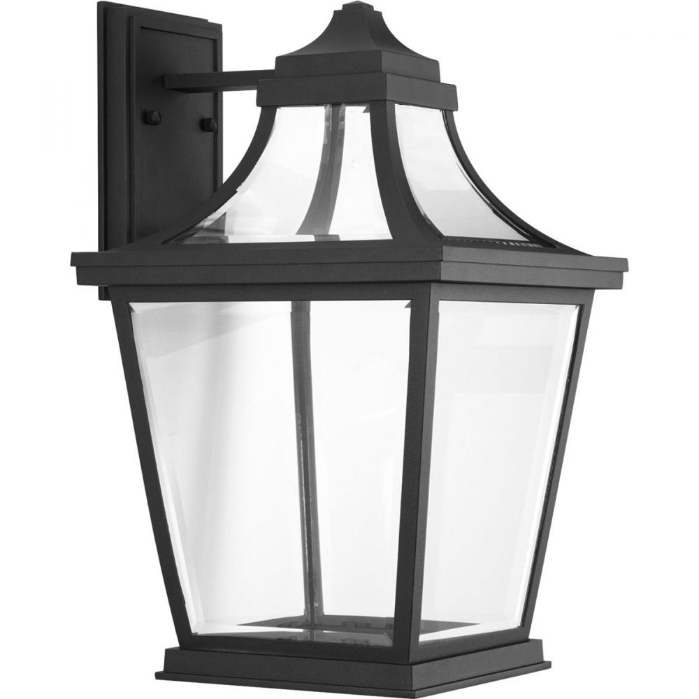 Endorse Collection One-Light Large Wall Lantern