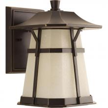 Progress P5750-2030K9 - Derby Collection One-Light LED Medium Wall Lantern