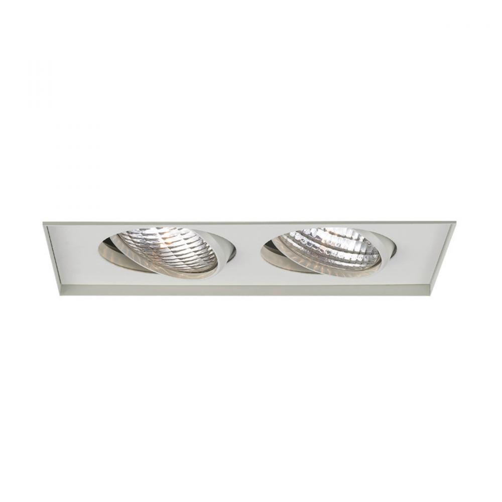 Two Light White Directional Recessed Light