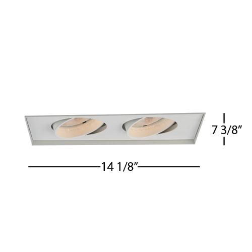 Two Light White Directional Recessed Light