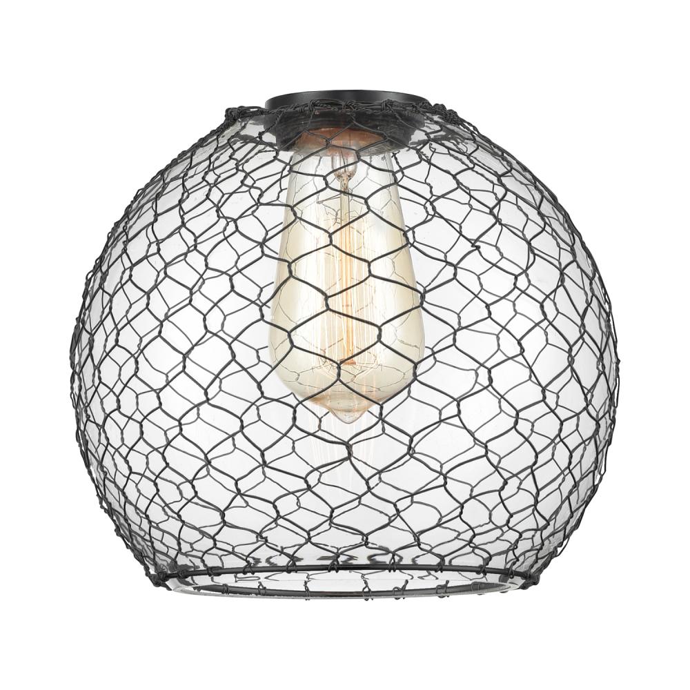 Farmhouse Chicken Wire Clear Glass with Black Wire Glass