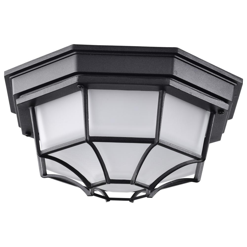 LED Spider Cage Fixture; Black Finish with Frosted Glass