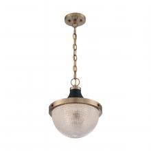 Nuvo 60/7060 - Faro - 1 Light Pendant with Clear Prismatic Glass - Burnished Brass and Black Accents Finish