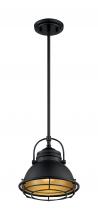 Nuvo 60/7073 - Upton - 1 Light Pendant with- Dark Bronze and Gold Finish