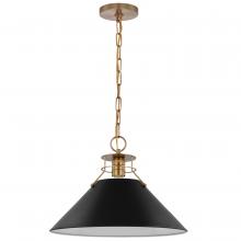 Nuvo 60/7525 - OUTPOST 1 LIGHT LARGE PENDANT