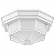 Nuvo 62/1399 - LED Spider Cage Fixture; White Finish with Frosted Glass