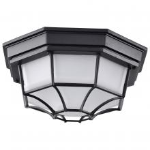 Nuvo 62/1400 - LED Spider Cage Fixture; Black Finish with Frosted Glass