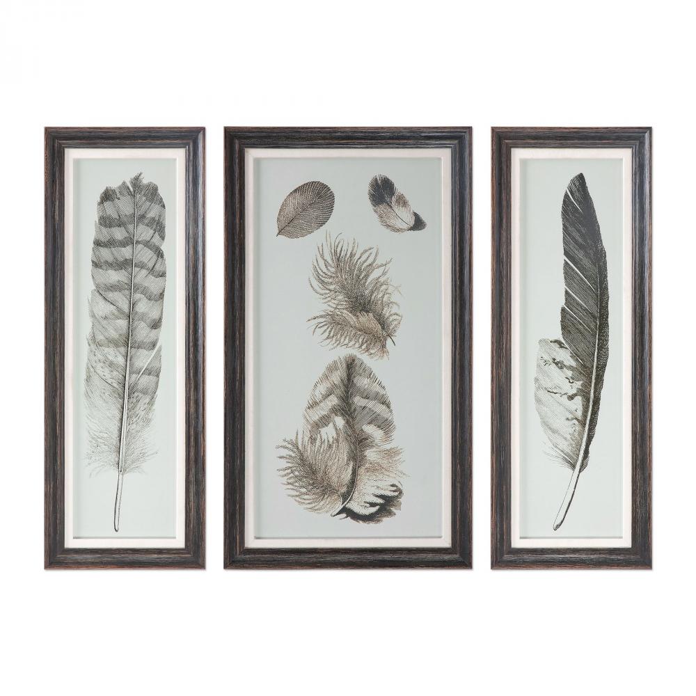 Uttermost Feather Study Prints, S/3