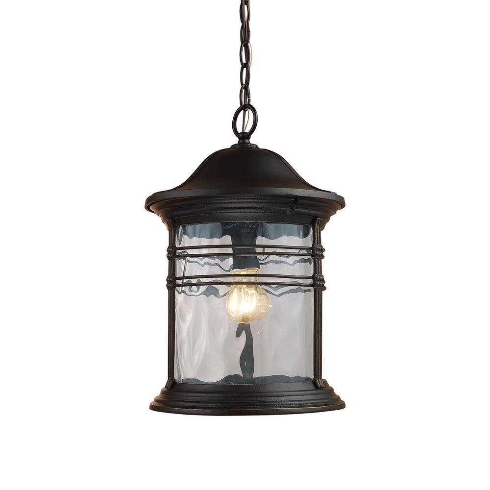 Madison 1-Light Outdoor Hanging Lantern in Matte Black