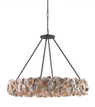 Currey 9672 - Oyster Shell Chandelier